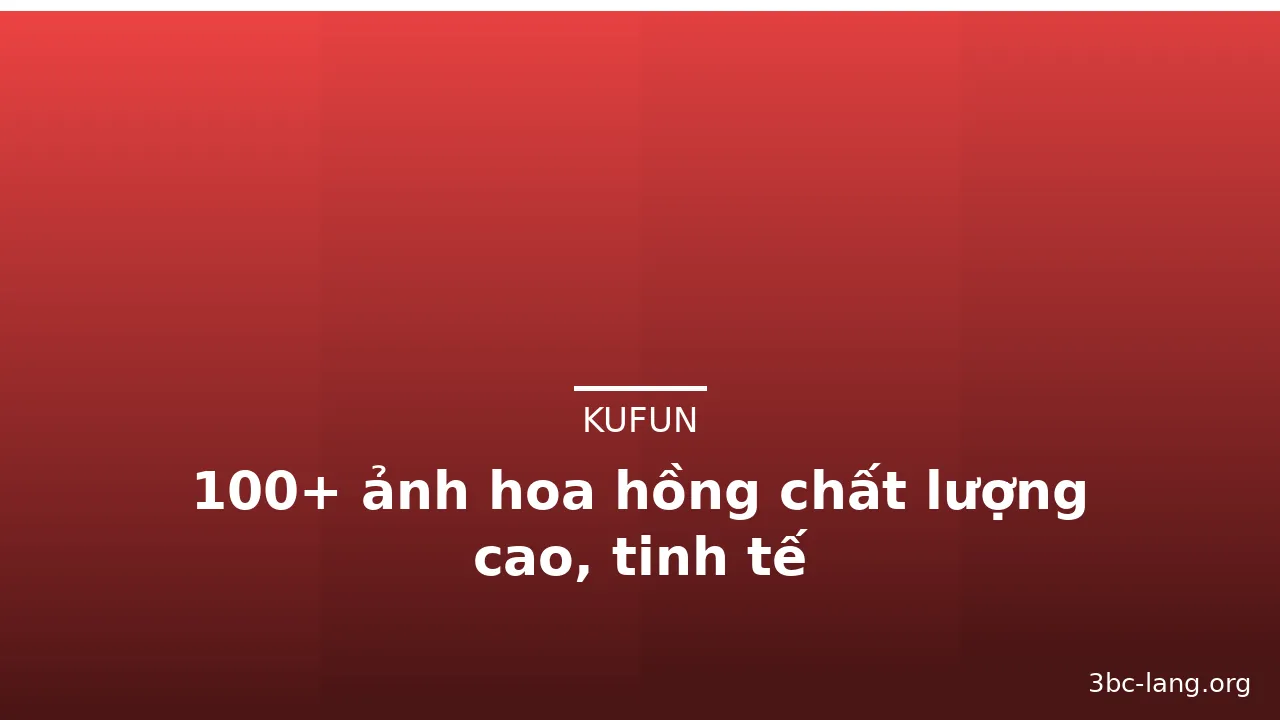 100+ ảnh hoa hồng chất lượng cao, tinh tế · ảnh 1