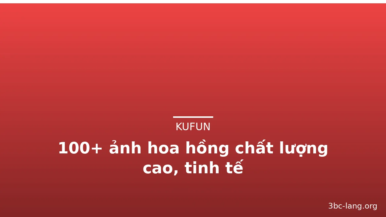 100+ ảnh hoa hồng chất lượng cao, tinh tế · ảnh 2