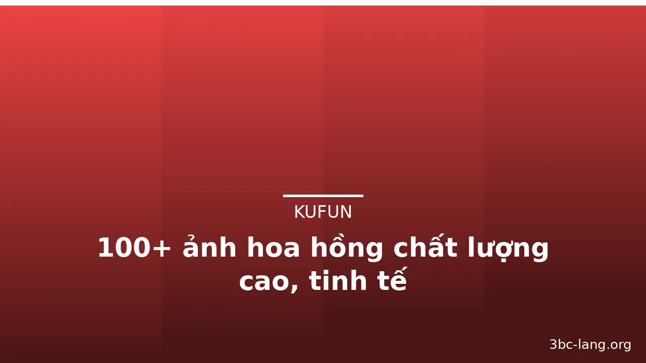 100+ ảnh hoa hồng chất lượng cao, tinh tế · ảnh 3