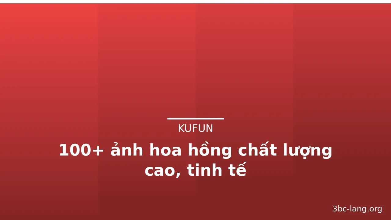 100+ ảnh hoa hồng chất lượng cao, tinh tế