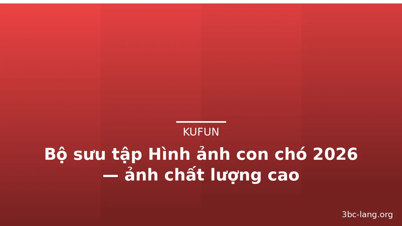 Bộ sưu tập Hình ảnh con chó 2026 — ảnh chất lượng cao · ảnh 1