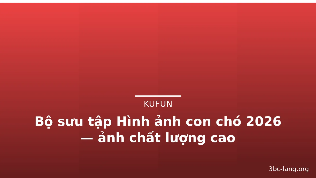 Bộ sưu tập Hình ảnh con chó 2026 — ảnh chất lượng cao · ảnh 2