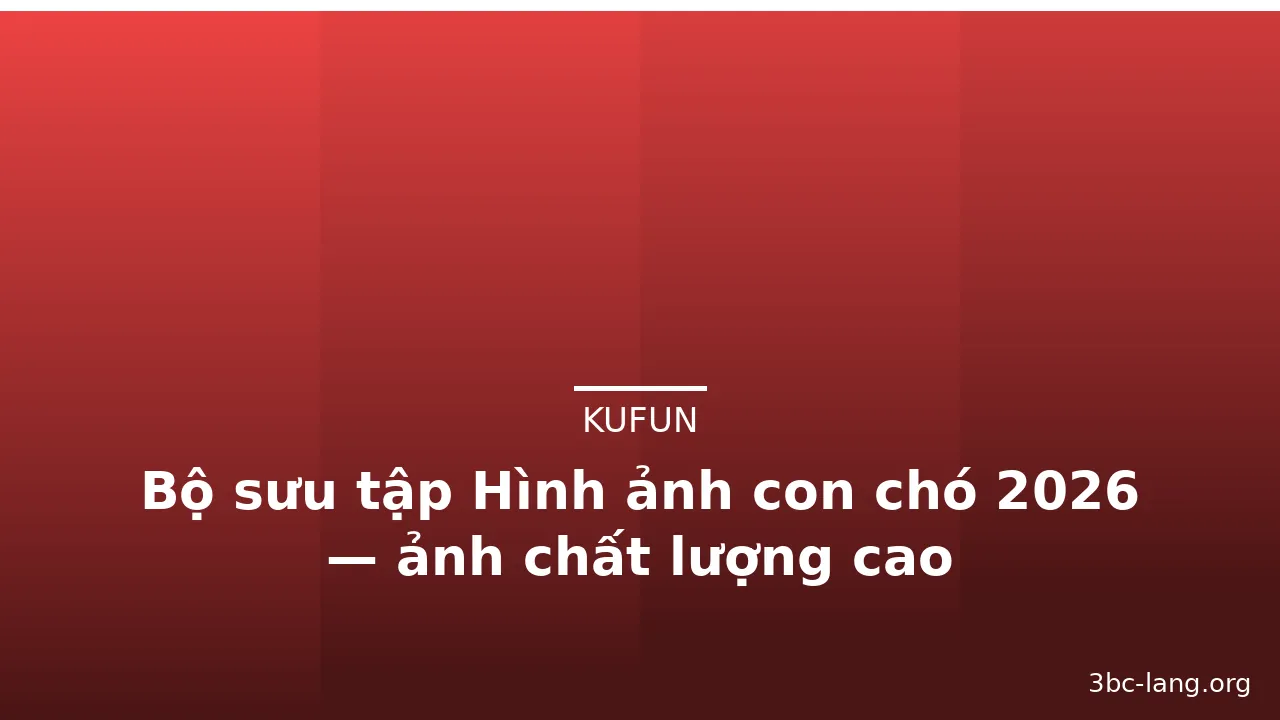 Bộ sưu tập Hình ảnh con chó 2026 — ảnh chất lượng cao · ảnh 3