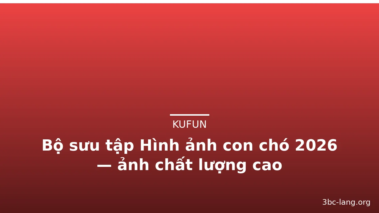 Bộ sưu tập Hình ảnh con chó 2026 — ảnh chất lượng cao