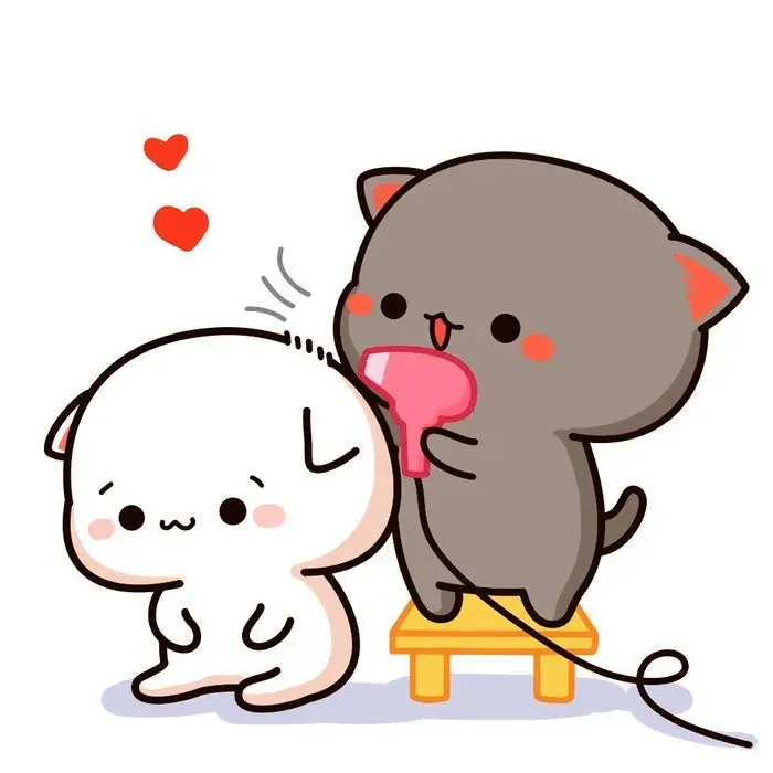 Hình ảnh mèo cute: Tuyển tập 200+ ảnh chất lượng cao đáng yêu