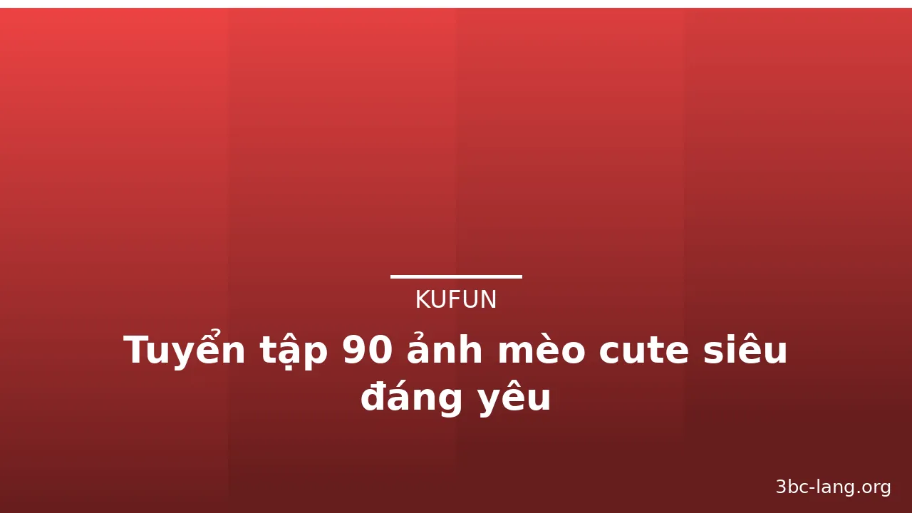 Tuyển tập 90 ảnh mèo cute siêu đáng yêu